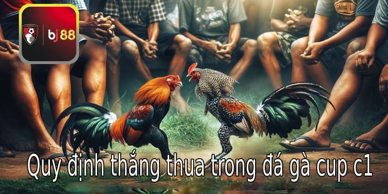 Quy định thắng thua trong đá gà cup c1