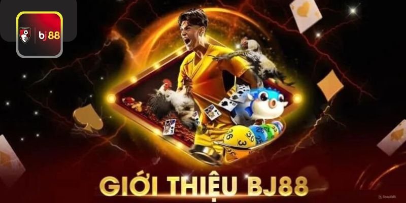 Thể Thao BJ88: Sân Chơi Của Những Fan Hâm Mộ Cuồng Nhiệt